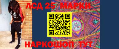 гидропоника Шахты