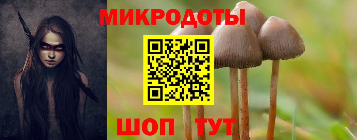 Псилоцибиновые грибы прущие грибы  Вход с VPN  Кудрово  Псилоцибиновые грибы Cubensis 
